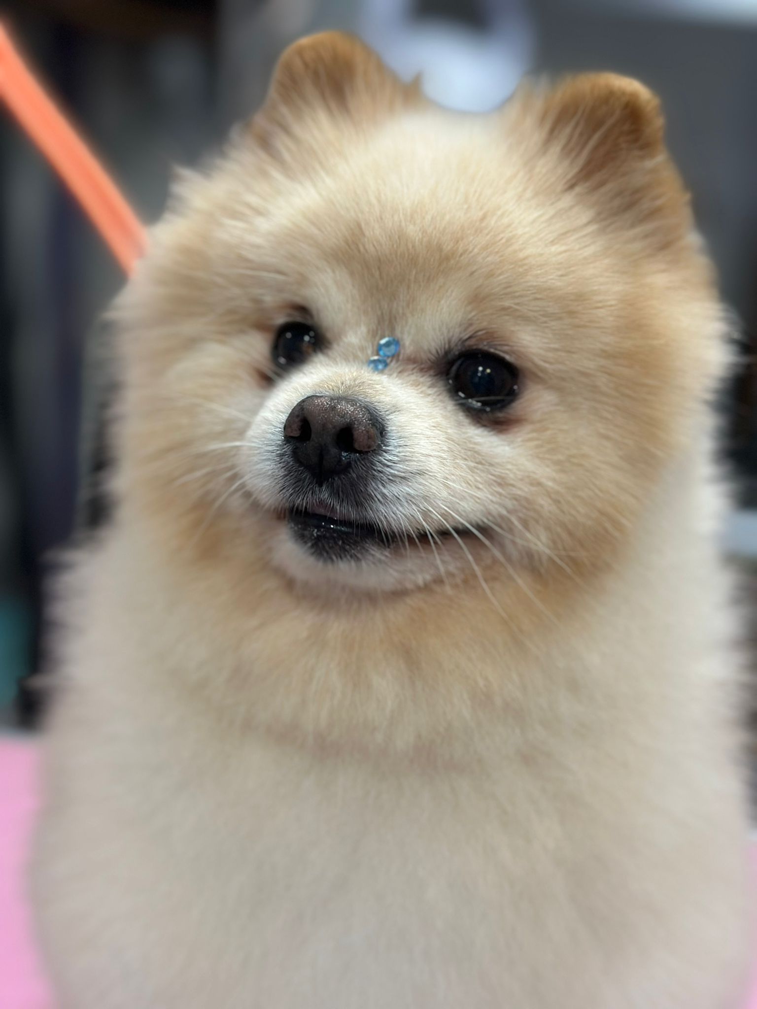 Imagen 4 de la galería